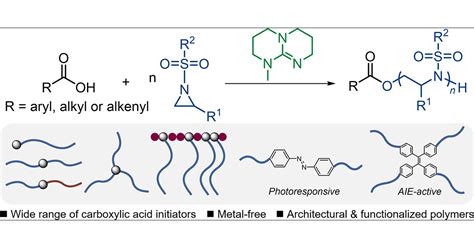  Carbossilic Acid-Based Polymers: La Rivoluzione Per Le Batterie Riutilizzabili?!