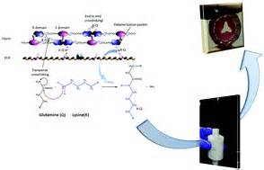 Elastin: Una Rivoluzione nelle Protesi Cardiovascolari e nei Biomateriali Tissue-Engineering!