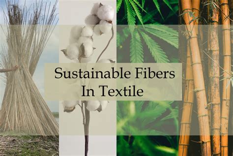  Jute: La fibra naturale sostenibile per un futuro eco-friendly!