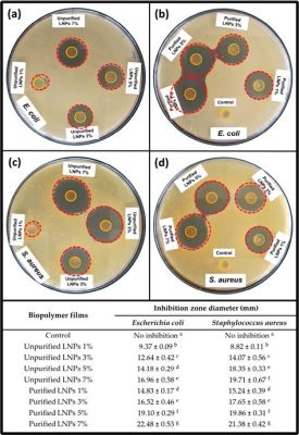 Lignin Nanoparticles: Rivoluzionando l'Industria Farmaceutica e la Bioplastica!