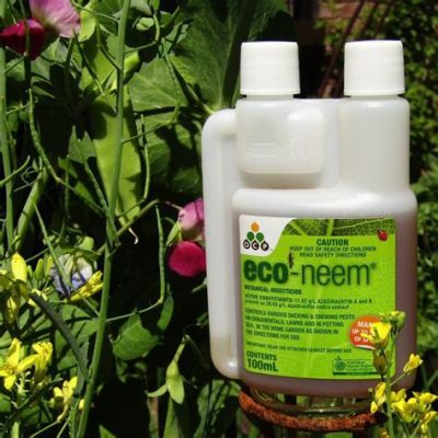  Olio di Neem: Un potente insetticida naturale per l'agricoltura biologica!